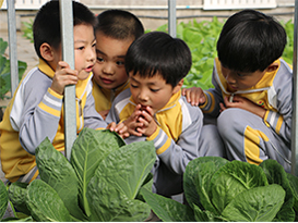 北京爱迪国际学校幼儿园课程(图13)