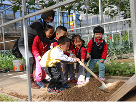 北京爱迪国际学校幼儿园课程(图14)