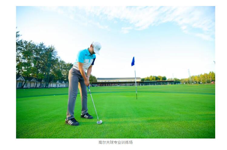 北京爱迪国际学校