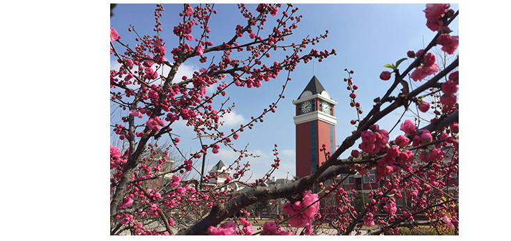 北京爱迪国际学校开放日预约(图1)